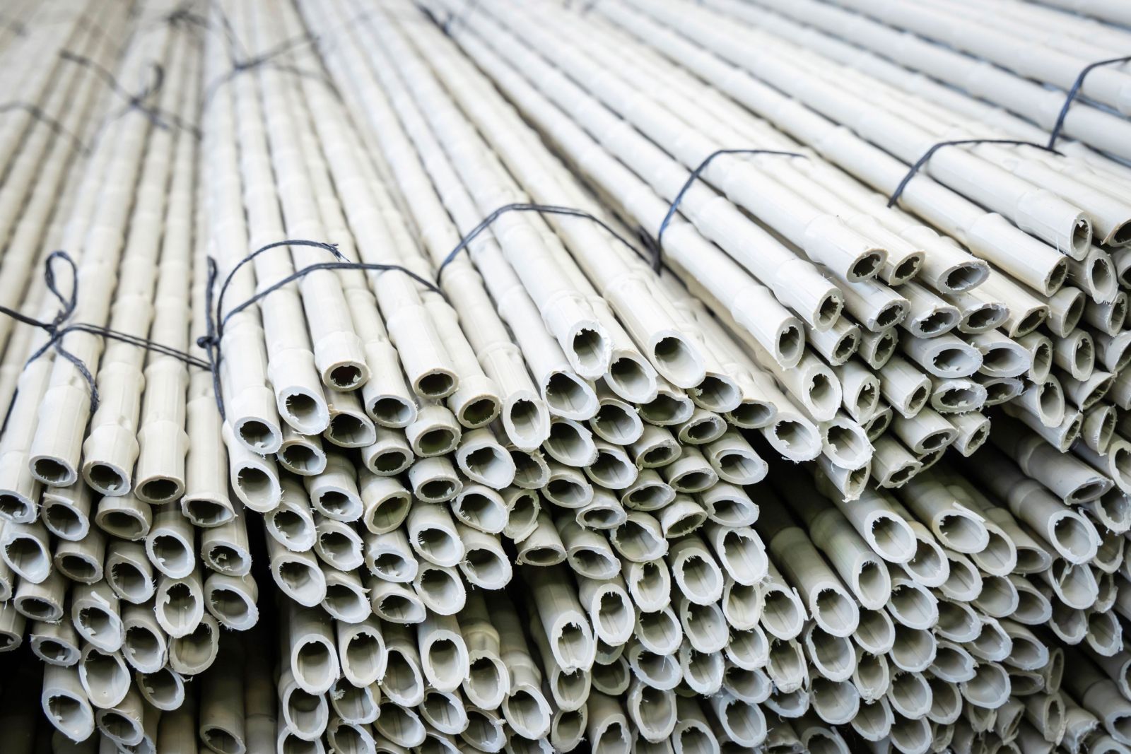 Canne Agricoltura 2 scaled 9a7f7023